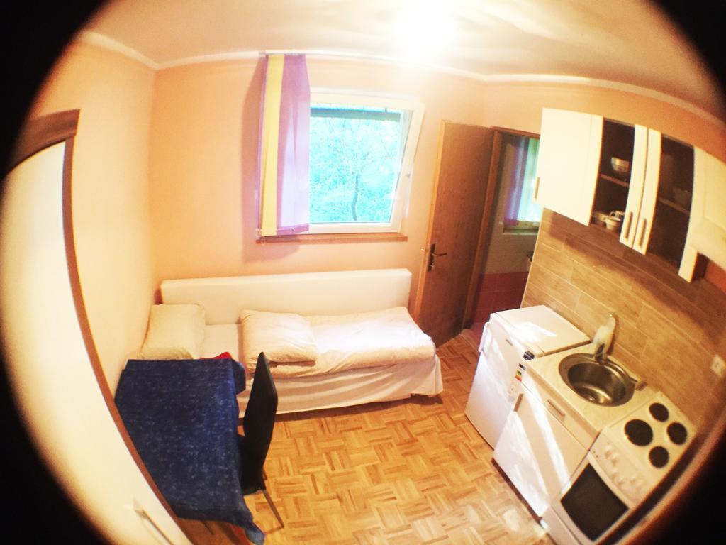 Blazic II Hotel Maribor Ngoại thất bức ảnh